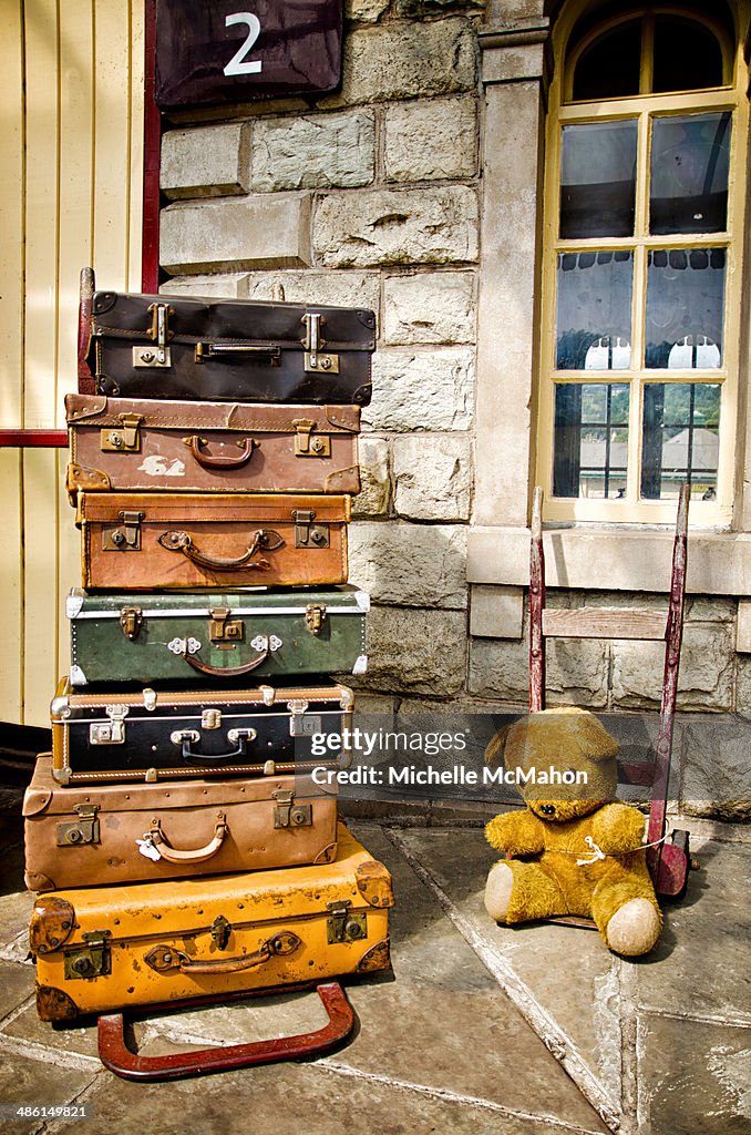 Cases and bear