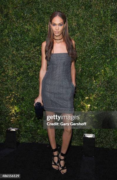 Model Joan Smalls attends the Chanel Tribeca Film Festival Artist Dinner at Balthazer on April 22, 2014 in New York City.