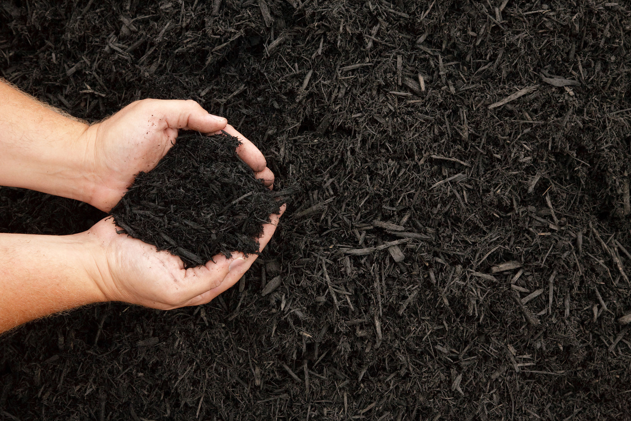 compost mulch