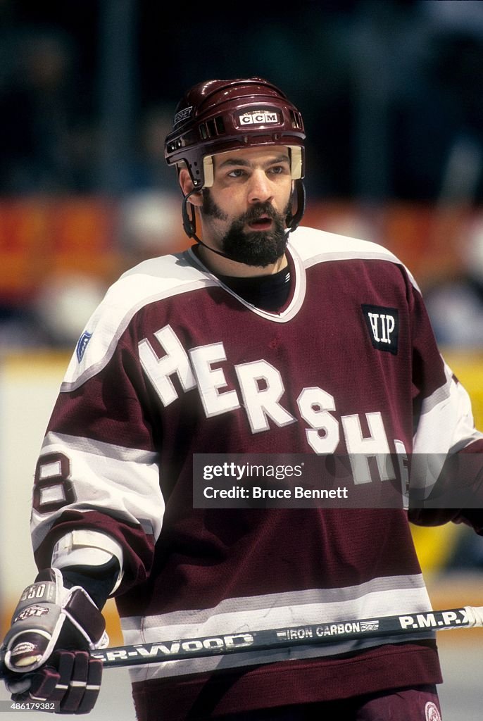 Hershey Bears