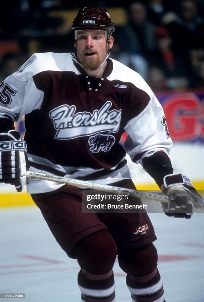 Hershey Bears