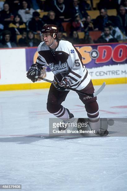 Rick Berry of the Hershey Bears skates on the ice during an AHL game in March, 1999.