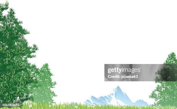 bergwald - rolling landscape stock-grafiken, -clipart, -cartoons und -symbole