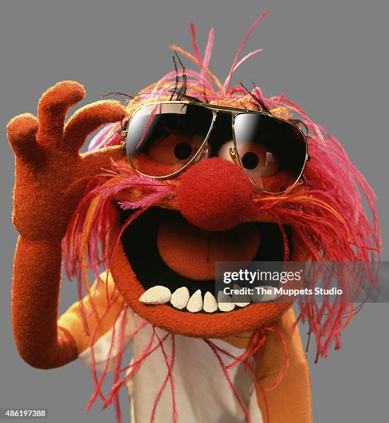 Walt Disney Television via Getty Images's "The Muppets" stars Animal.