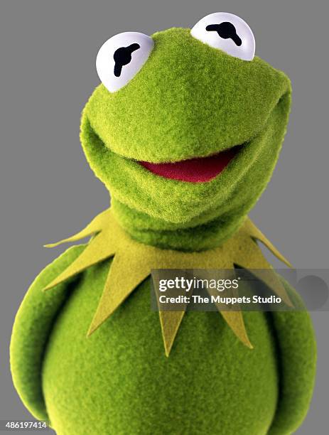 Walt Disney Television via Getty Images's "The Muppets" stars Kermit the Frog.