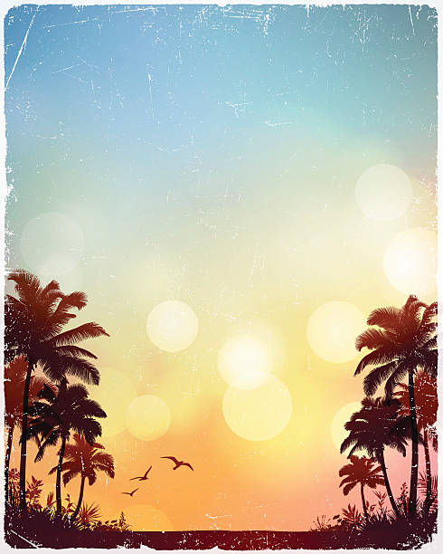 tropical beach background - summer background stock illustrations