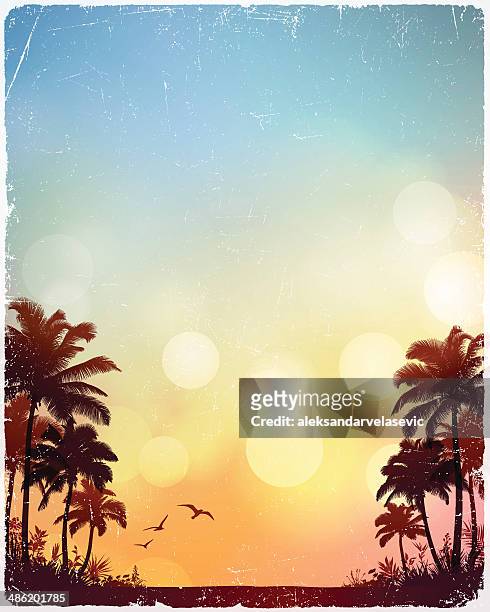 tropical beach background - palm trees 幅插畫檔、美工圖案、卡通及圖標