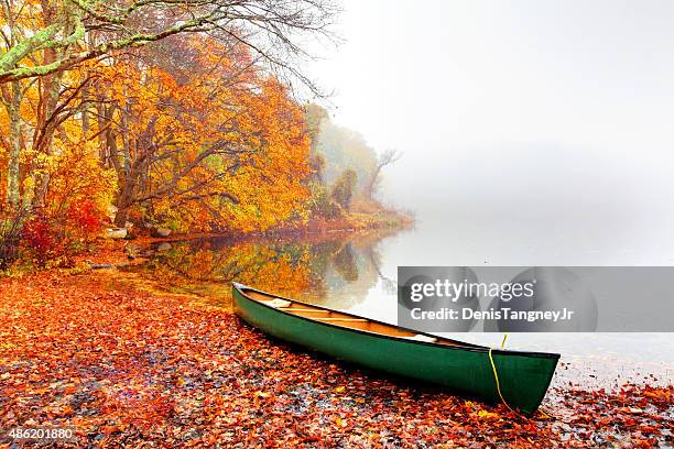 autumn on cape cod - cape cod stock pictures, royalty-free photos & images