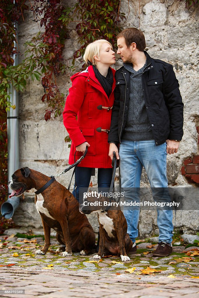 Young couple kissing with pet dogs looking away