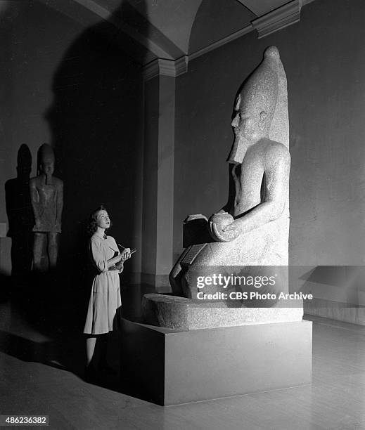 43 Frances Buss Stock Photos, HighRes Pictures, and Images Getty Images