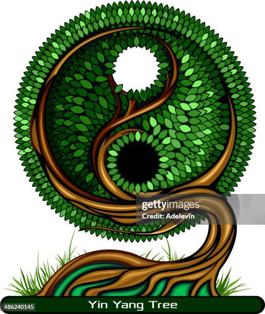 Pyyang Tree Structure Yin Yang Tree Photos and Premium High Res Pictures - Getty Images