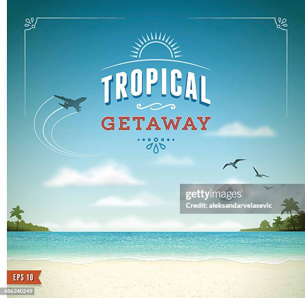 illustrations, cliparts, dessins animés et icônes de fond de plage tropicale - avion vintage