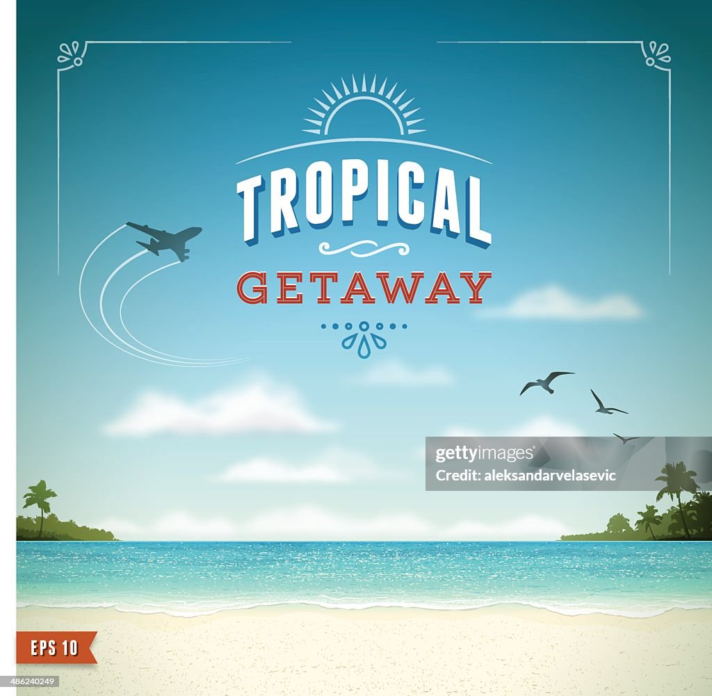 Tropical Beach Background