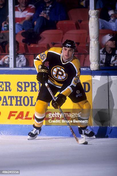 John Gruden of the Providence Bruins looks to pass during an AHL game in January, 1996.