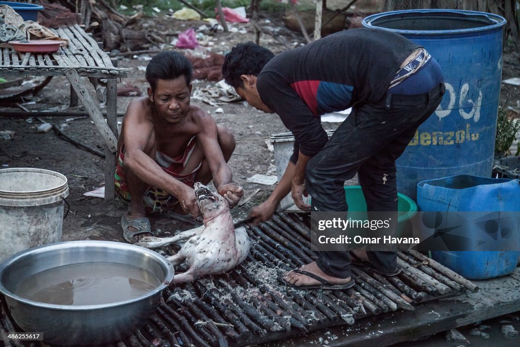 Fishing Laws And Environmental Changes Leave Cambodia's Floating Village Under Threat