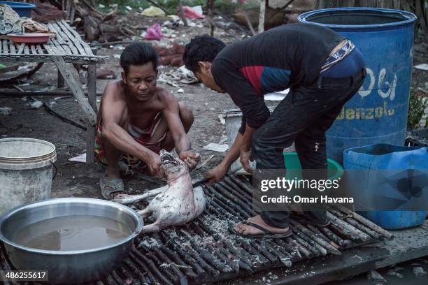 Two former fishermen peel the skin of a dog that they will eat for dinner in the floating village of Chong Kneas on April 23, 2014 in Siem Reap,...