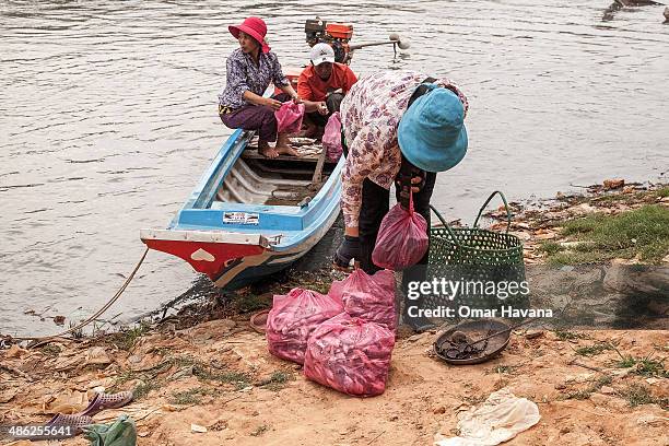 Woman buys fish from a boat near the floating village of Chong Kneas on April 23, 2014 in Siem Reap, Cambodia. Home to hundreds of thousands of...