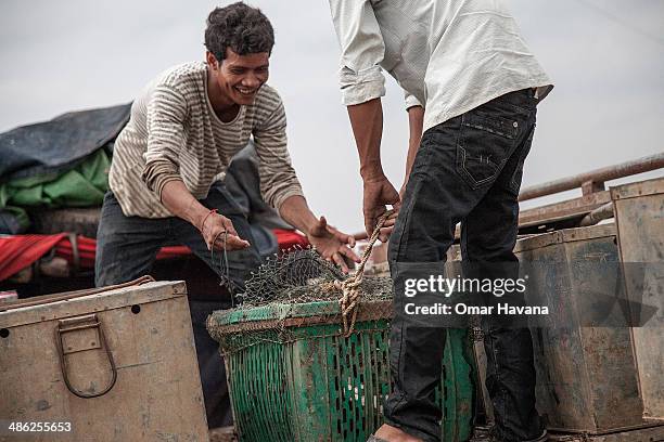 Two young former fishermen carry fish boxes into a truck in the floating village of Chong Kneas on April 23, 2014 in Siem Reap, Cambodia. Most of the...
