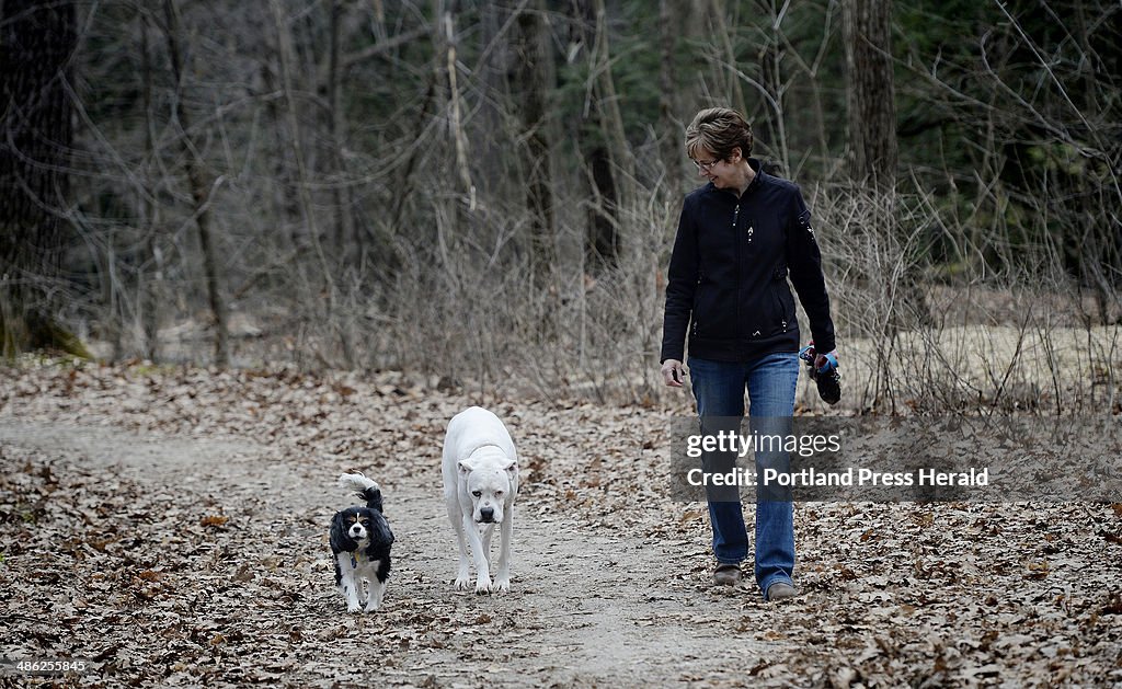 Dogs in Baxter Woods