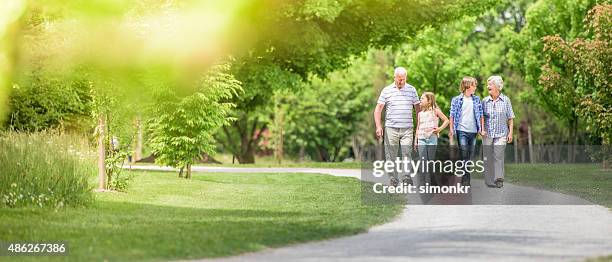 grandparents and grandchildren walking at park - middlebare afstand stockfoto's en -beelden
