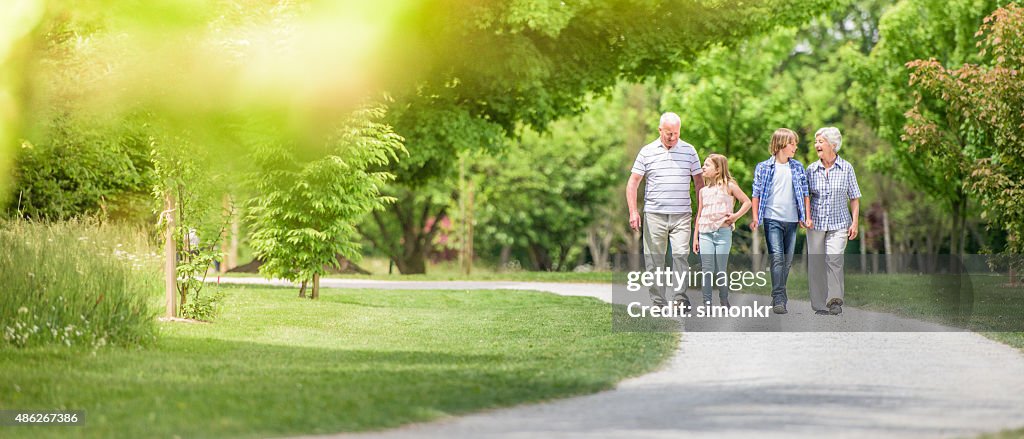 Grandparents and grandchildren walking at park