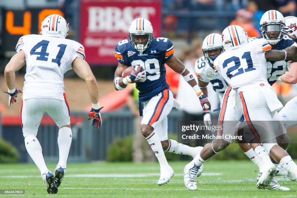 Auburn Spring Game