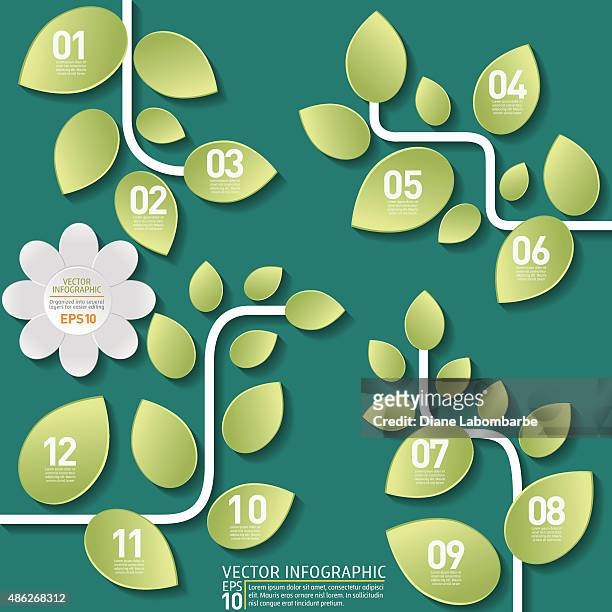growing green vine plants infographic - company history info graphic stock illustrations