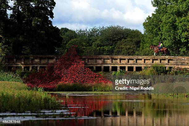 The Wave which is part of Blood Swept Lands and Seas of Red by artist Paul Cummins and designer Tom Piper is installed at Yorkshire Sculpture Park on...