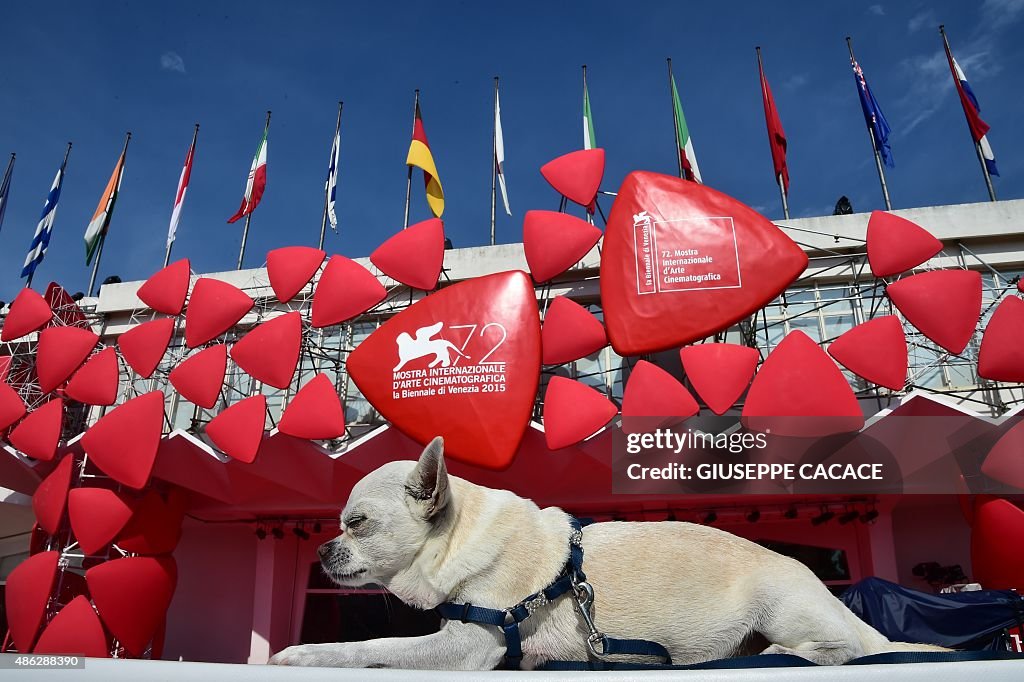 ITALY-FILM-FESTIVAL-VENICE