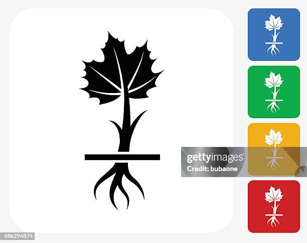 growing maple plant icon flat graphic design - maple tree stock illustrations