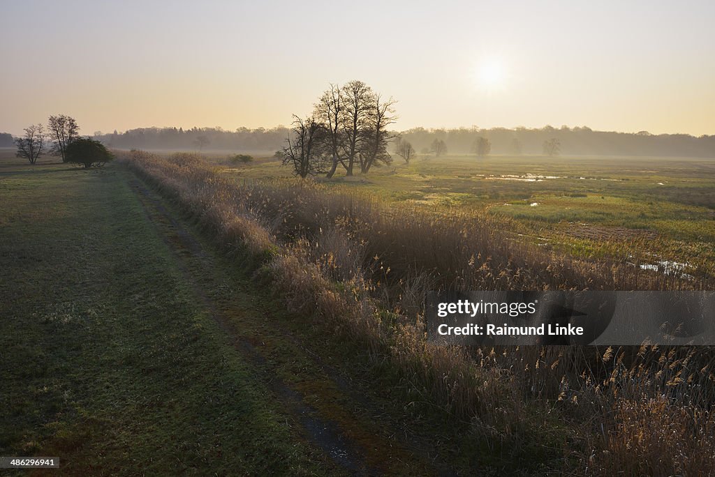 Nature Reserve  Moenchbruch