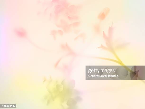 multi colored abstract background of the flower - floral stock-fotos und bilder