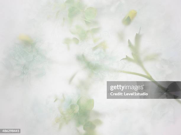 abstract background of the flower - floral photos et images de collection