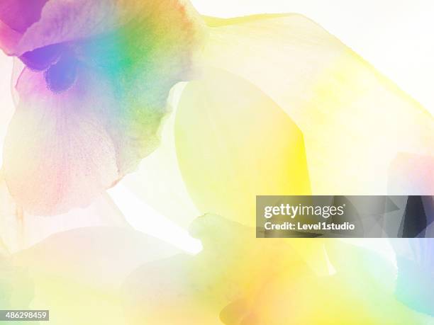 multi colored abstract background of the flower - flouté photos et images de collection