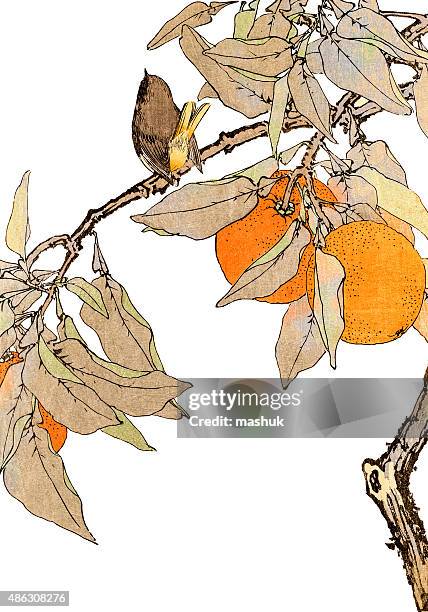 鳥と木の枝 Bird And Orange Tree A 19th Century Japanese Woodblock Print High