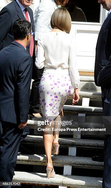 Queen Letizia attends audiences at Zarzuela Palace on September 3, 2015 in Madrid, Spain.