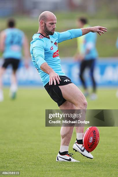 Paul Chapman kicks the ball during an Essendon Bombers AFL training session at True Value Solar Centre on April 24, 2014 in Melbourne, Australia.