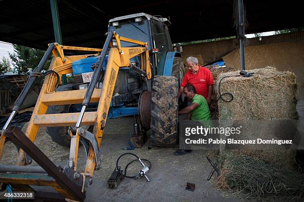 Mechanic repairs a tractor's flat tyre for dairy farmer Angel Vicente as he needs to feed the dairy cattle at his farm on August 31, 2015 in...