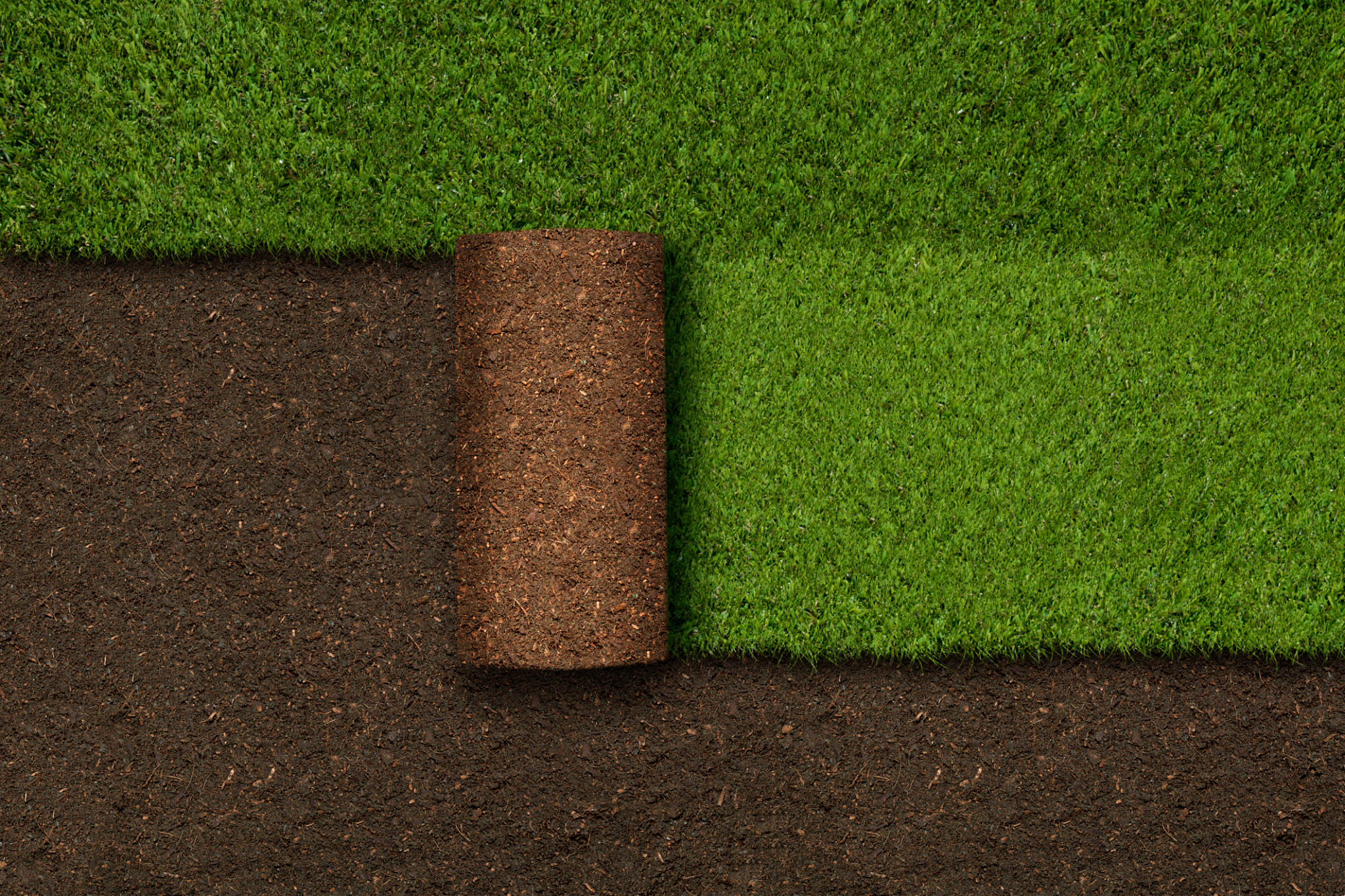 turf weed control