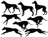 Greyhound dog silhouettes