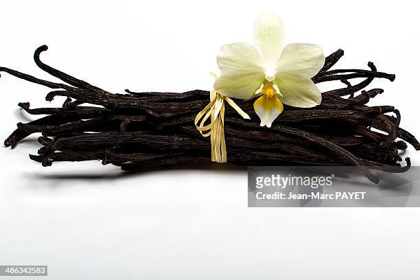 vanilla isolated on white with orchid - jean marc payet - fotografias e filmes do acervo