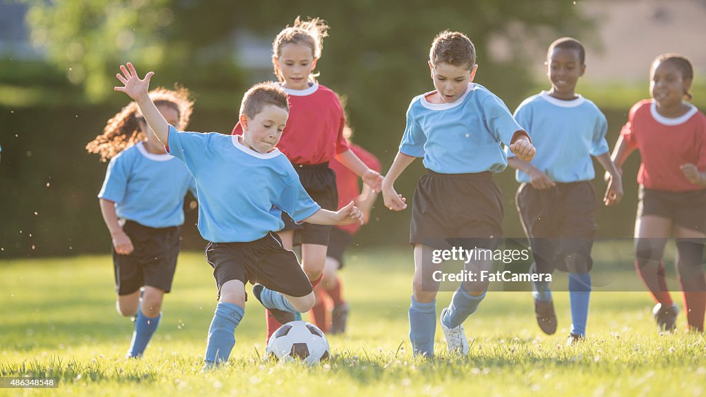 Group of Children Playing Soccer