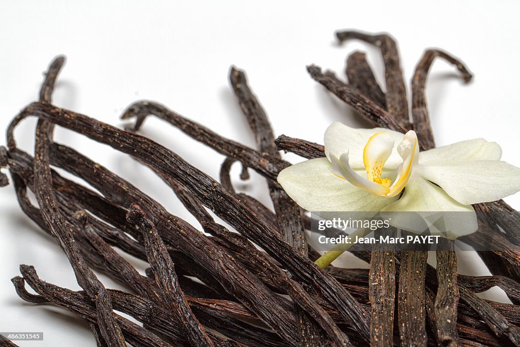 Stalks of vanilla in heap