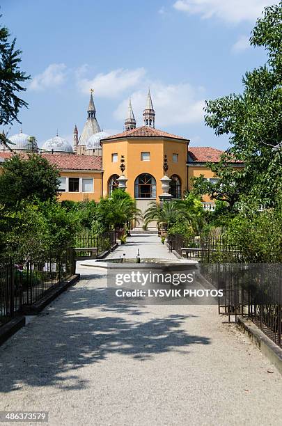 botanical garden, orto botanico di padova - padua stock pictures, royalty-free photos & images