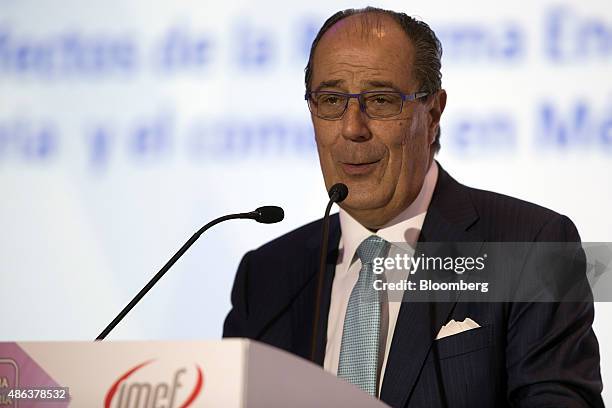 Carlos Ruiz Sacristan, chief executive officer of Infraestructura Energetica Nova SAB , speaks at the Mexico Energy Reform Conference in Mexico City,...