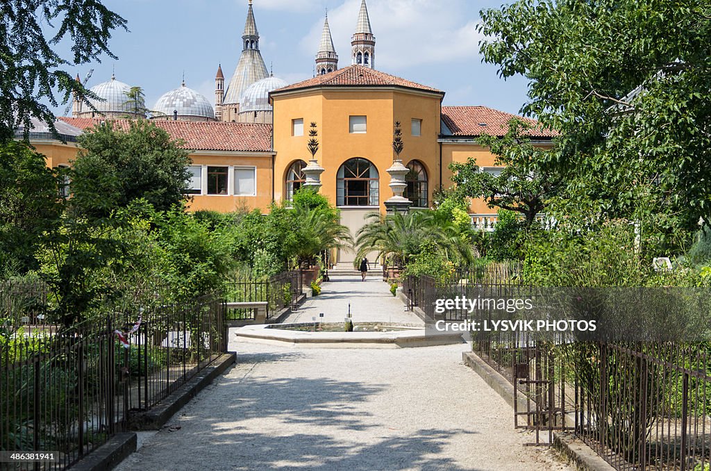 Botanical garden, Orto Botanico di Padova