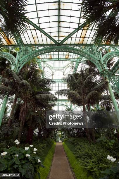 Opening to the public of the Royal Greenhouses of Laeken located in the gardens of the Royal Palace of Laeken on April 18, 2014 in Brussels, Belgium.