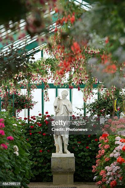 Opening to the public of the Royal Greenhouses of Laeken located in the gardens of the Royal Palace of Laeken on April 18, 2014 in Brussels, Belgium.
