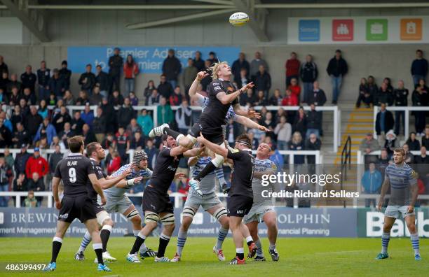 Scott Macleod Rugby 198 Richard Macleod Stock Photos, High-Res Pictures, and Images - Getty ...