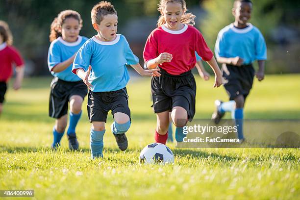 children rush to soccer ball - kicking goal stock pictures, royalty-free photos & images